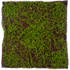 GloboStar Artificial Garden Bryophyta ������� ������������ ����� ��������� - ������� ����� ���� �100 x �100 x �5cm - (20143)