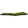 GloboStar Artificial Garden Bryophyta ������� ������������ ����� ��������� - ������� ����� ���� �100 x �100 x �5cm - (20143)