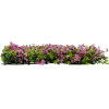 GloboStar Artificial Garden Cyphea Hyssopifolia ������� ������������ ����� ���������� - ������� ����� ������� ����� ������� �50 x �50 x �11cm - (20350)