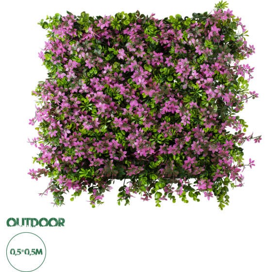 GloboStar Artificial Garden Cyphea Hyssopifolia ������� ������������ ����� ���������� - ������� ����� ������� ����� ������� �50 x �50 x �11cm - (20350)