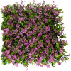 GloboStar Artificial Garden Cyphea Hyssopifolia ������� ������������ ����� ���������� - ������� ����� ������� ����� ������� �50 x �50 x �11cm - (20350)