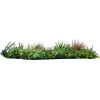 GloboStar Artificial Garden Jungle Fern ������� ������������ ����� ��������� - ������� ����� ������� ������� ������ �100 x �100 x �20cm - (20351)