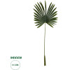 GloboStar Artificial Garden Serenoa Palm Leaf ������� ������������ ���� �������������� ������� �������� �47 x �120cm - (20173)