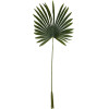 GloboStar Artificial Garden Serenoa Palm Leaf ������� ������������ ���� �������������� ������� �������� �47 x �120cm - (20173)