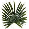GloboStar Artificial Garden Serenoa Palm Leaf ������� ������������ ���� �������������� ������� �������� �47 x �120cm - (20173)
