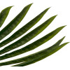GloboStar Artificial Garden Serenoa Palm Leaf ������� ������������ ���� �������������� ������� �������� �47 x �120cm - (20173)