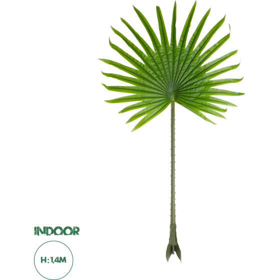 GloboStar Artificial Garden Serenoa Palm Leaf ������� ������������ ���� �������������� ������� �������� �77 x �140cm - (20172)