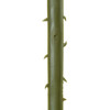 GloboStar Artificial Garden Serenoa Palm Leaf ������� ������������ ���� �������������� ������� �������� �77 x �140cm - (20172)
