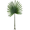 GloboStar Artificial Garden Serenoa Palm Leaf ������� ������������ ���� �������������� ������� �������� �90 x �170cm - (20174)