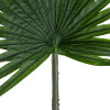 GloboStar Artificial Garden Serenoa Palm Leaf ������� ������������ ���� �������������� ������� �������� �90 x �170cm - (20174)