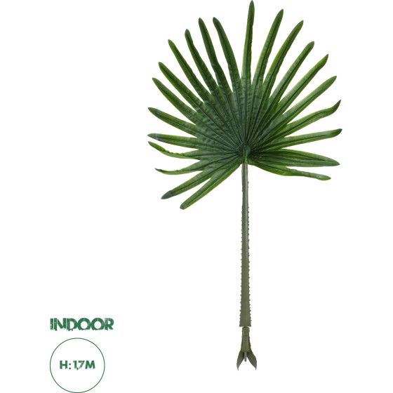 GloboStar Artificial Garden Serenoa Palm Leaf ������� ������������ ���� �������������� ������� �������� �90 x �170cm - (20174)