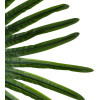 GloboStar Artificial Garden Serenoa Palm Leaf ������� ������������ ���� �������������� ������� �������� �90 x �170cm - (20174)