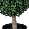 GloboStar Artificial Garden Buxus ������� ������������ ���� ����� �35cm - (20404)