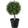 GloboStar Artificial Garden Ficus Benjamina Tree ������� ������������ ���� ����� ���������� �35cm - (20397)
