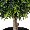 GloboStar Artificial Garden Ficus Benjamina Tree ������� ������������ ���� ����� ���������� �35cm - (20397)