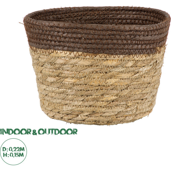 GloboStar Artificial Garden Lefkada ������������ ������ ������ - ����� ������� - Flower Pot ���� �� ���� �22cm x �15cm - (20287)