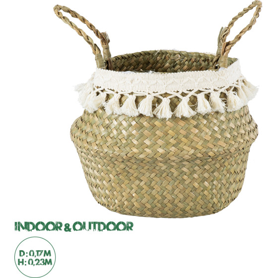 GloboStar Artificial Garden Milos ������������ ������ ������ - ����� ������� - Flower Pot ���� �� ������� �17cm x �23cm - (20306)
