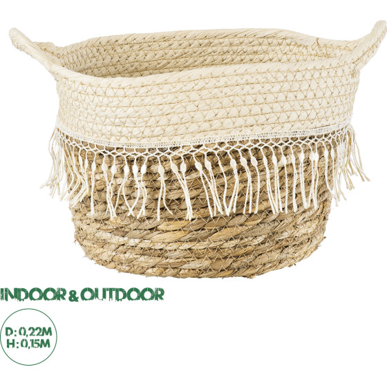 GloboStar Artificial Garden Mykonos ������������ ������ ������ - ����� ������� - Flower Pot ���� �� ������� �22cm x �15cm - (20279)