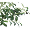 GloboStar Artificial Garden Olive Tree ������� ������������ ������ ���� �240cm - (20429)