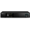 Sangean WFT-4 Internet Radio , bluetooth