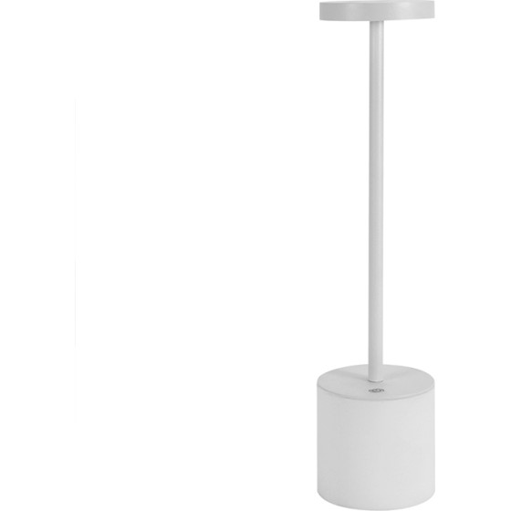 ���������������� ��������� ����������� Led Type C 3W, 100-150lm, 3000K, 1800Mah, ���������, ����� OEM - (DSLAMP-W)