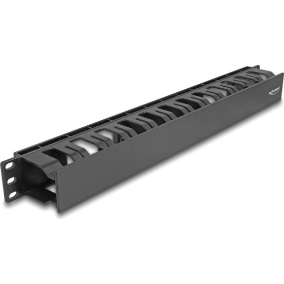 DeLock Cable Management ��� Rack 19''/1U, 2 ���������, ����� - (67021)