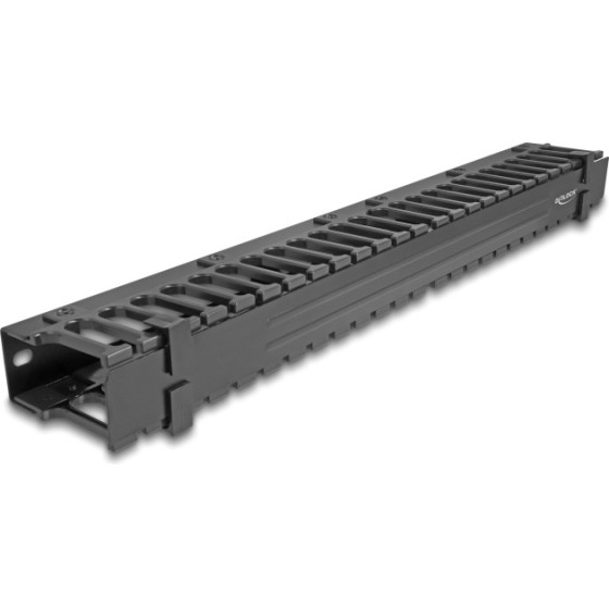DeLock Cable Management ��� Rack 19''/1U, 3 ���������, ����� - (67022)