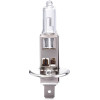 AMiO H1 12V 55W P14,5s Lumitec �������� - 1 ���. - (01484)