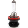 AMiO H11 12V 55W PGJ19-2 Lumitec �������� - 1 ���. - (01159)