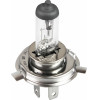 AMiO H4 12V 60/55W P43t Lumitec �������� - 1 ���. - (01268)