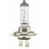 AMiO H7 24V 70W PX26d Lumitec �������� - 1 ���. - (01252)
