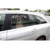 Lampa ������� ��������� ��� �������- ���������� ��� (S) 42x20cm 8 ��������� Pet Window GATE-1���. - (60471)