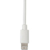 Lampa ������� �������� / ������������ Usb ��� Apple 100cm 8pIn �� ��������� Usb �������� 12V/24V ��� ��������� 220V - (38943)