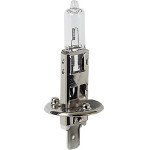 Lampa ����� H1 24V/70W (P14,5s) - (98203)