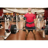 Lampa ���� ������� ������ Arm Band M ��� 4,7 Inch ����� �� �������� ������ ��� Velcro - 1 ���. - (P16154)
