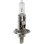 Lampa H1 �������� 12V/100W 62.5mm P14,5s ���1 - (58011)
