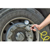 Lampa ��������� ���������� �������� ������ ���� ��������� �� ������� 15BAR/220pSi -1 ��� - (74001)