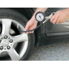 Lampa ��������� ���������� �������� ������ ���� ��������� �� ������� 15BAR/220pSi -1 ��� - (74001)