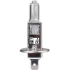 M-Tech H1 12V 100W P14,5s Standard �������� ����� 1���. - (Z88)