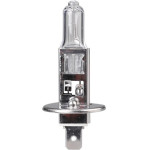 M-Tech H1 12V 100W P14,5s Standard �������� ����� 1���. - (Z88)