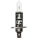 M-Tech H1 12V 55W P14,5s Standard �������� ����� 1���. - (Z1)