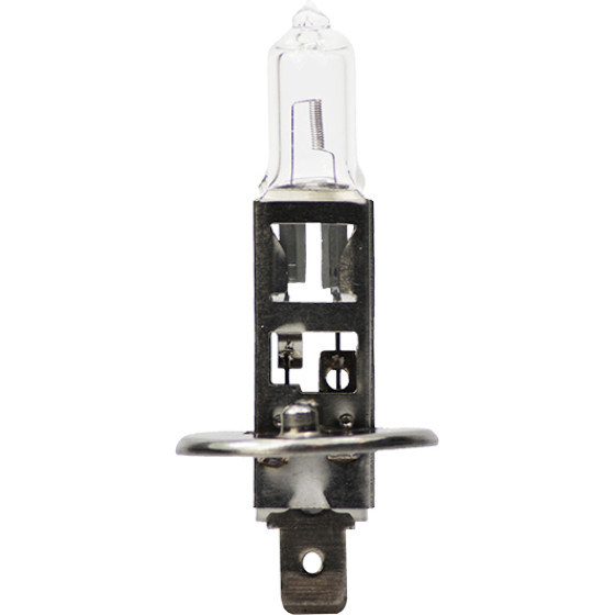 M-Tech H1 12V 55W P14,5s Standard �������� ����� 1���. - (Z1)