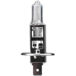 M-Tech H1 24V 70W P14,5s Powertec Long Life �������� 1���. ����� - (PTXLL1)