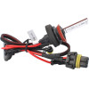 M-Tech H11 12V 8000K ������������ ����� - (ZMPH118)