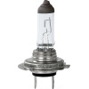 M-Tech H18 12V 65W PY26d-1 Standard Line �������� (�����) - 1 ���. - (Z128)