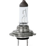 M-Tech H18 12V 65W PY26d-1 Standard Line �������� (�����) - 1 ���. - (Z128)