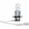 M-Tech H3 12V 55W P22s Standard �������� ����� 1���. - (Z3)
