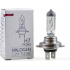 M-Tech H7 12V 100W PX26d Standard �������� 1���. - (Z79)
