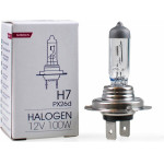 M-Tech H7 12V 100W PX26d Standard �������� 1���. - (Z79)