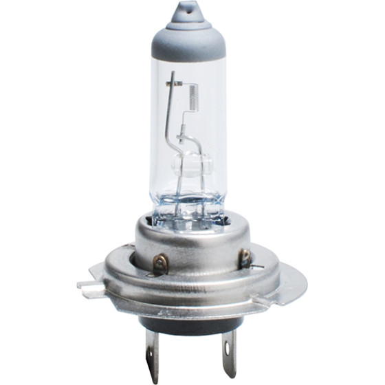 M-Tech H7 12V 55W PX26d Standard �������� ����� 1���. - (Z7)